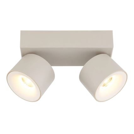 Globo - LED φωτιστικό σποτ 2xLED/6W/230V