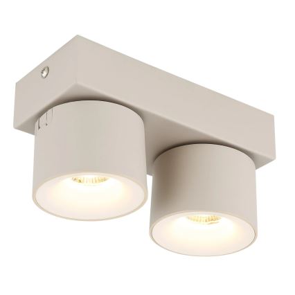 Globo - LED φωτιστικό σποτ 2xLED/6W/230V