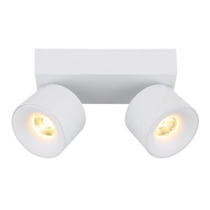 Globo - LED Σποτ 2xLED/6W/230V λευκό