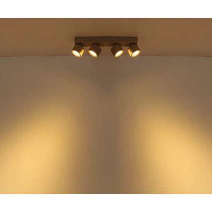 Globo - Φωτιστικό σποτ LED 4xLED/6W/230V