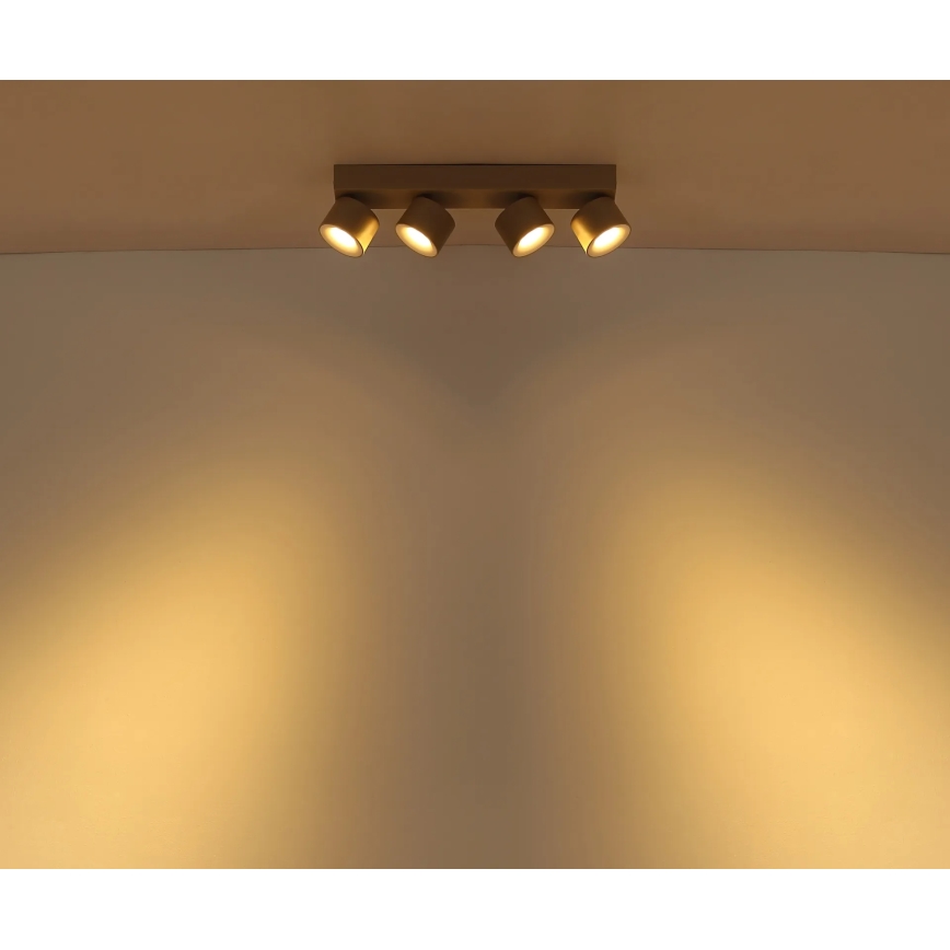 Globo - Φωτιστικό σποτ LED 4xLED/6W/230V