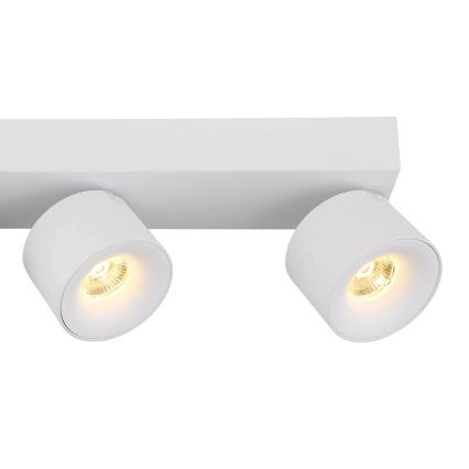 Globo - LED Σποτ 4xLED/6W/230V λευκό