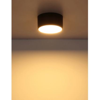 Globo - Φωτιστικό οροφής LED/12W/230V 3000K Ø 15 cm μαύρο