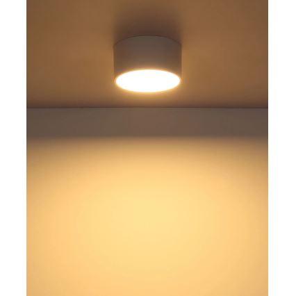 Globo - Φωτιστικό οροφής LED 12W 230V 3000K διάμ. 15 cm λευκό