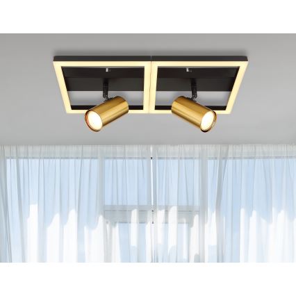 Globo - Φωτιστικό οροφής LED 2xGU10/5W/230V + LED/22W/230V