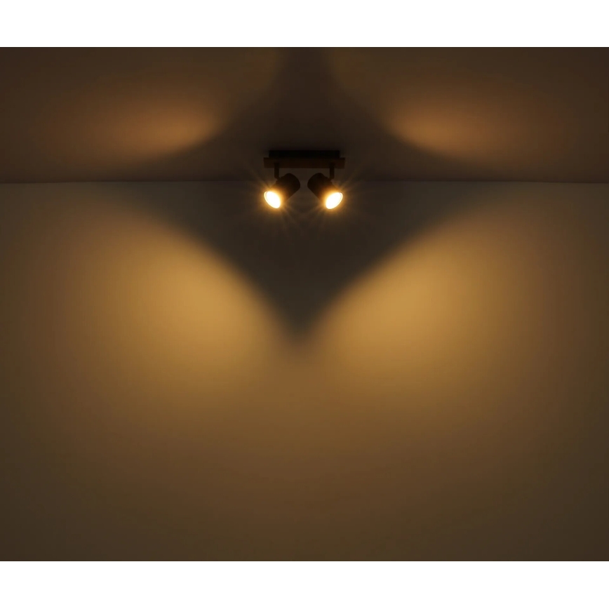 Globo - Φωτιστικό σποτ 2xGU10/35W/230V