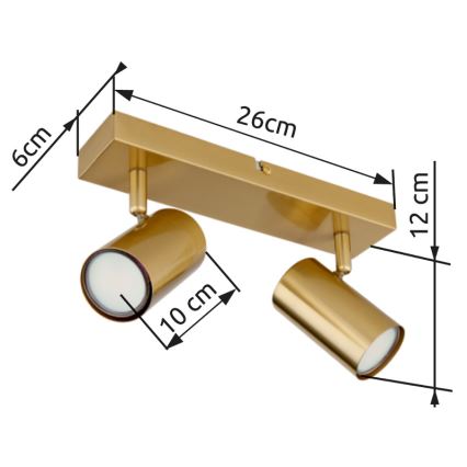 Globo - Φωτιστικό σποτ 2xGU10/35W/230V χρυσό
