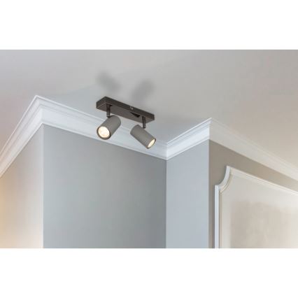 Globo - Φωτιστικό σποτ 2xGU10/25W/230V