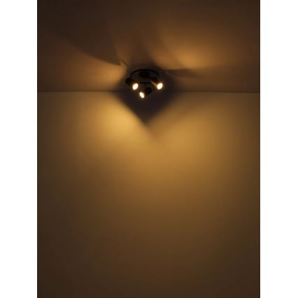 Globo - Φωτιστικό σποτ 3xGU10/25W/230V μαύρο