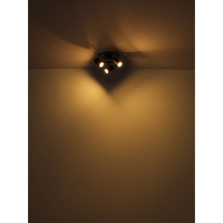 Globo - Φωτιστικό σποτ 3xGU10/25W/230V μαύρο
