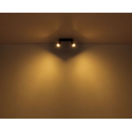 Globo - Φωτιστικό σποτ 2xGU10/35W/230V μαύρο