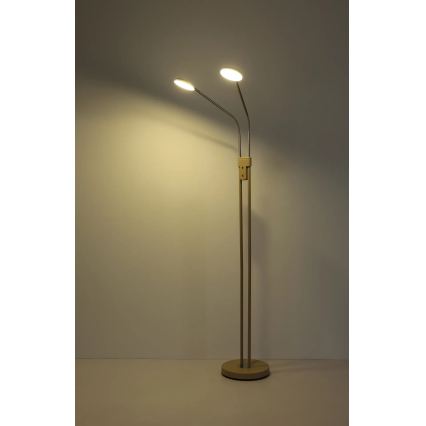 Globo - Ρυθμιζόμενο φωτιστικό δαπέδου LED 2xLED/6,5W/230V 2700/3350/4000K μπεζ