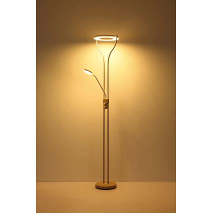 Globo - LED ρυθμιζόμενο επιδαπέδιο φωτιστικό LED/20W/230V + LED/4W 3000K
