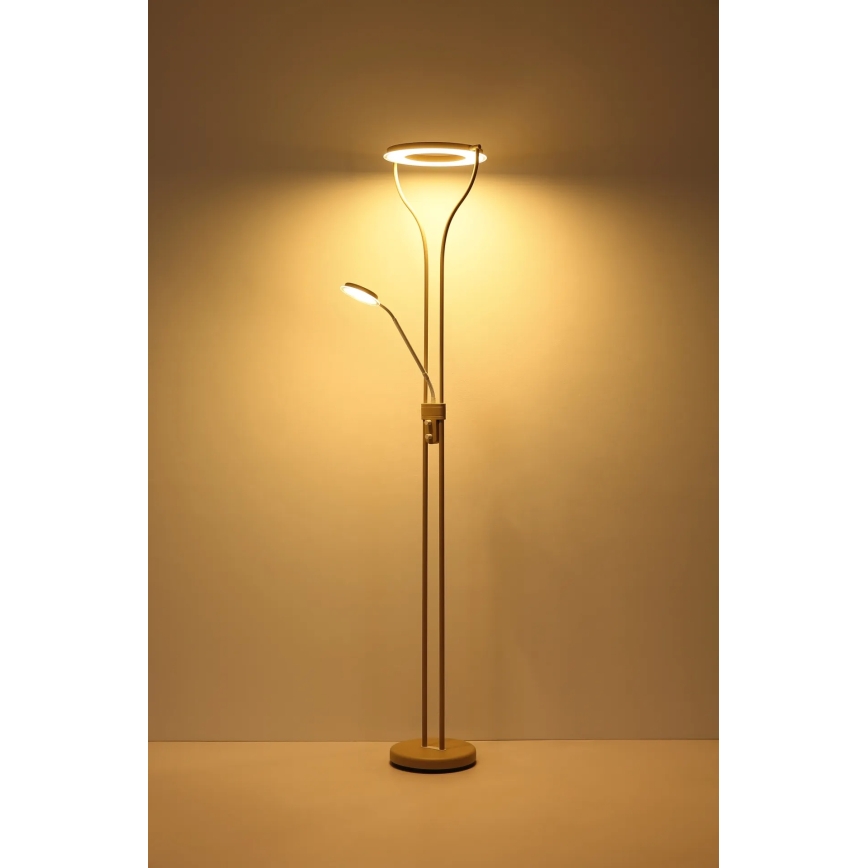 Globo - LED ρυθμιζόμενο επιδαπέδιο φωτιστικό LED/20W/230V + LED/4W 3000K