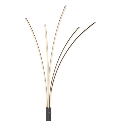 Globo - LED ρυθμιζόμενο επιδαπέδιο φωτιστικό με αισθητήρα αφής LED/36W/230V μαύρο