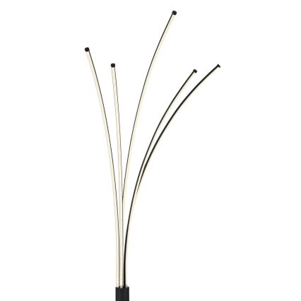 Globo - Ρυθμιζόμενο επιδαπέδιο φωτιστικό LED/36W/230V 3000-6000K Wi-Fi Tuya + τηλεχειριστήριο
