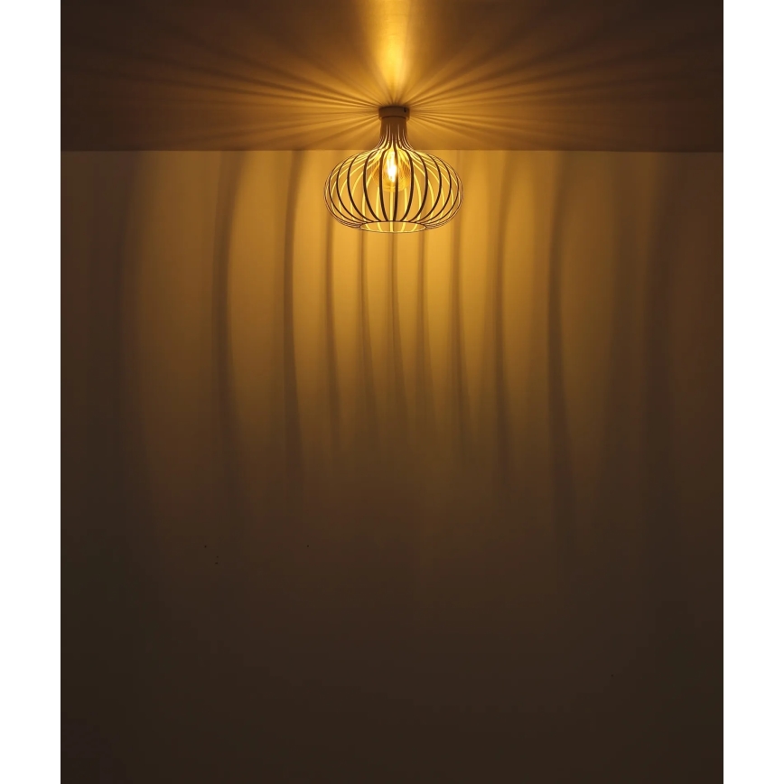 Globo - Φωτιστικό οροφής 1xE27/40W/230V