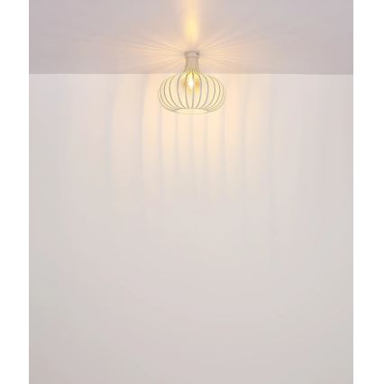 Globo - Φωτιστικό οροφής 1xE27/40W/230V