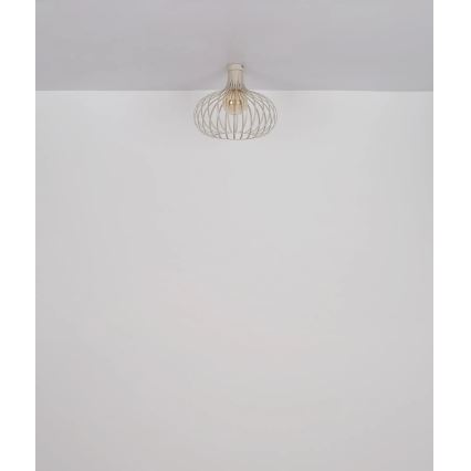 Globo - Φωτιστικό οροφής 1xE27/40W/230V