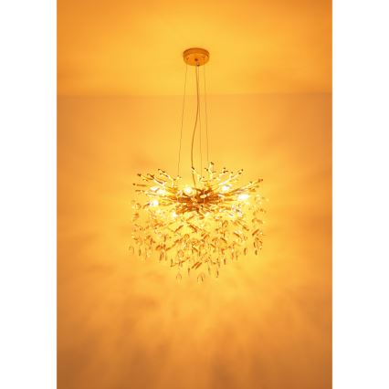 Globo - Κρεμαστό φωτιστικό με σύρμα ανάρτησης 8xE14/40W/230V χρυσό