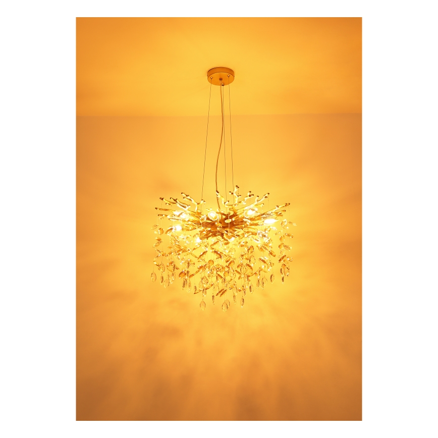 Globo - Κρεμαστό φωτιστικό με σύρμα ανάρτησης 8xE14/40W/230V χρυσό