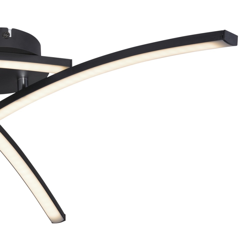 Globo - LED Πλαφονιέρα οροφής 3xLED/6W/230V 3000/4000/6000K