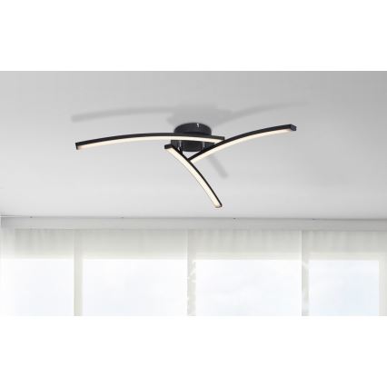 Globo - LED Πλαφονιέρα οροφής 3xLED/6W/230V 3000/4000/6000K