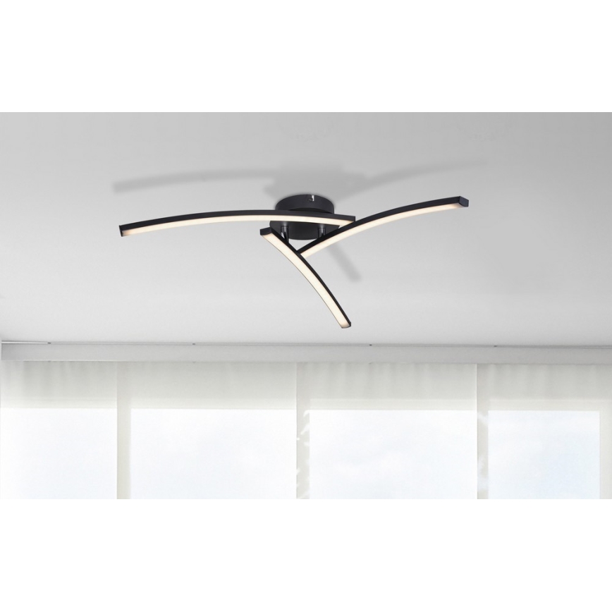 Globo - LED Πλαφονιέρα οροφής 3xLED/6W/230V 3000/4000/6000K