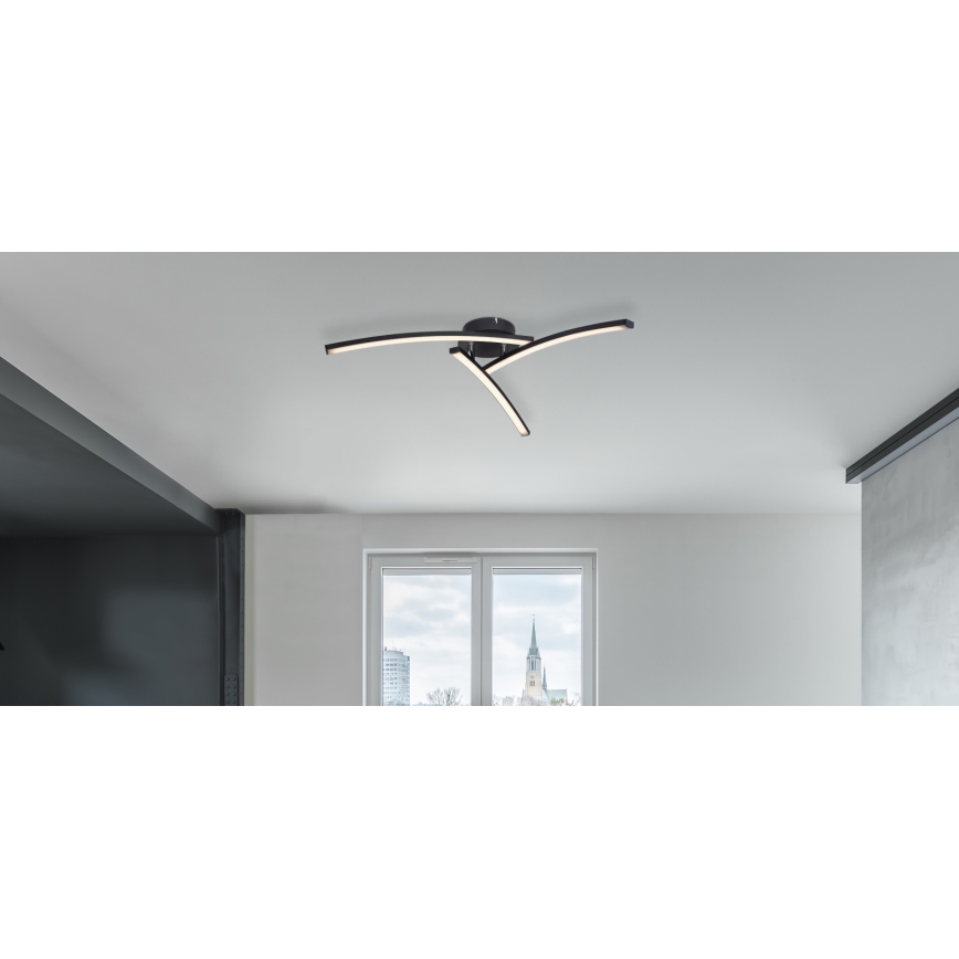 Globo - LED Πλαφονιέρα οροφής 3xLED/6W/230V 3000/4000/6000K