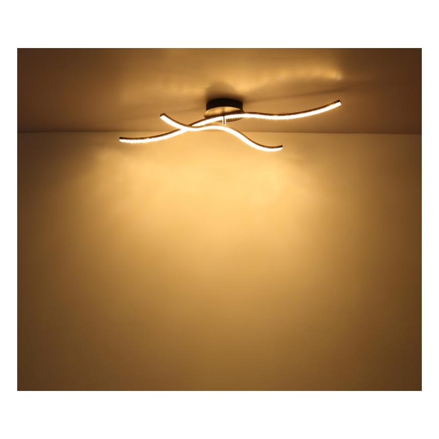 Globo - LED Πλαφονιέρα οροφής LED/20W/230V