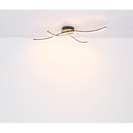 Globo - LED Πλαφονιέρα οροφής LED/20W/230V