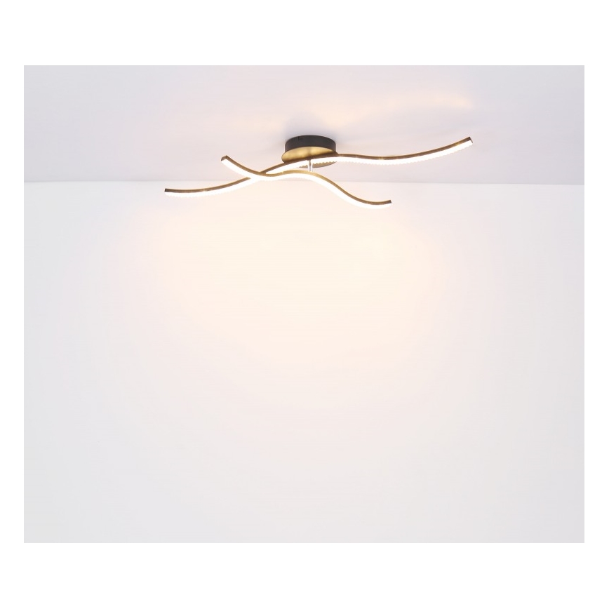 Globo - LED Πλαφονιέρα οροφής LED/20W/230V