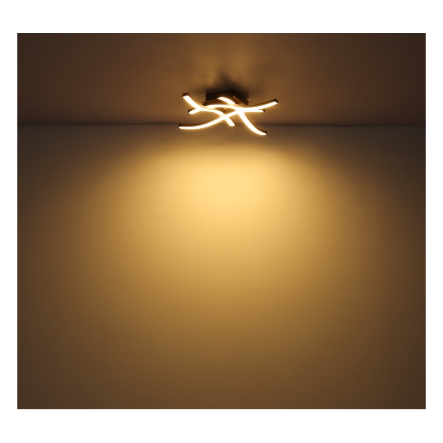 Globo - LED Πλαφονιέρα οροφής 4xLED/5W/230V