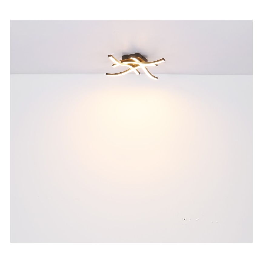 Globo - LED Πλαφονιέρα οροφής 4xLED/5W/230V