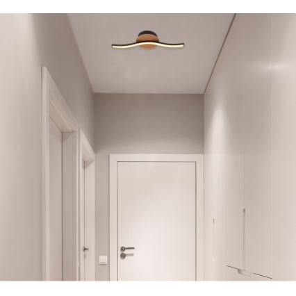 Globo - Φωτιστικό οροφής LED LED/6W/230V