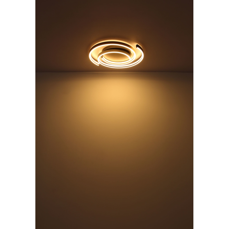 Globo - Φωτιστικό οροφής LED LED/38W/230V