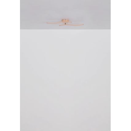 Globo - LED Πλαφονιέρα οροφής LED/12W/230V 3000K πορτοκαλί