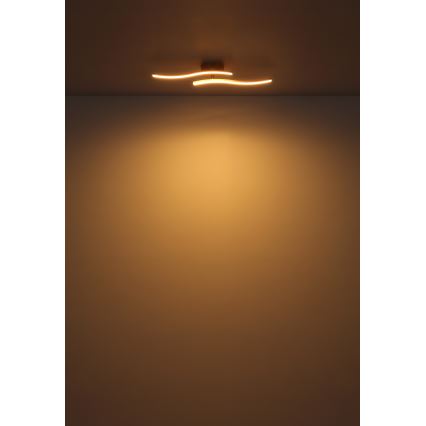 Globo - LED Πλαφονιέρα οροφής LED/12W/230V 3000K λευκό