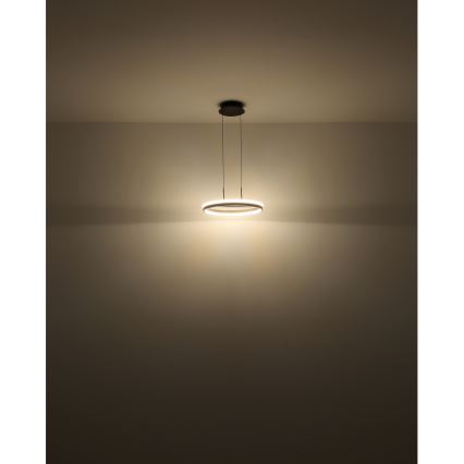 Globo -  Κρεμαστό φωτιστικό οροφής LED LED/40W/230V 3000/4000/6000K διάμετρος 39,7 cm καφέ