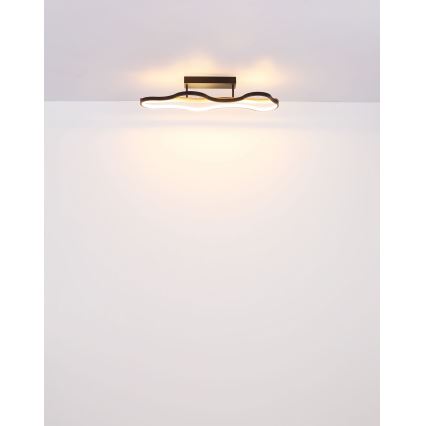 Globo - LED Πλαφονιέρα οροφής LED/30W/230V