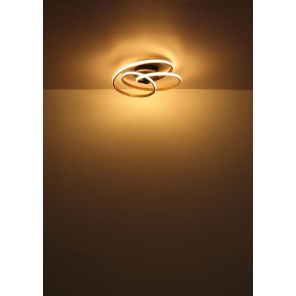 Globo - LED Πλαφονιέρα οροφής LED/40W/230V 3000K χρυσό/μαύρο