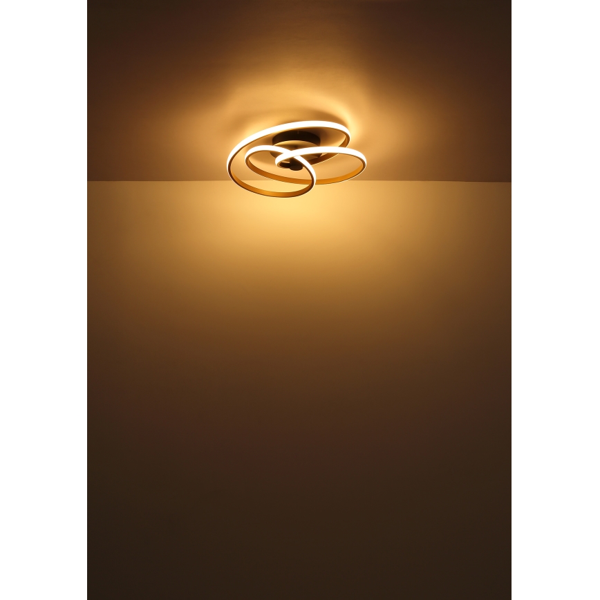 Globo - LED Πλαφονιέρα οροφής LED/40W/230V 3000K χρυσό/μαύρο