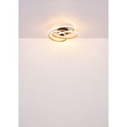Globo - LED Πλαφονιέρα οροφής LED/40W/230V 3000K χρυσό/μαύρο