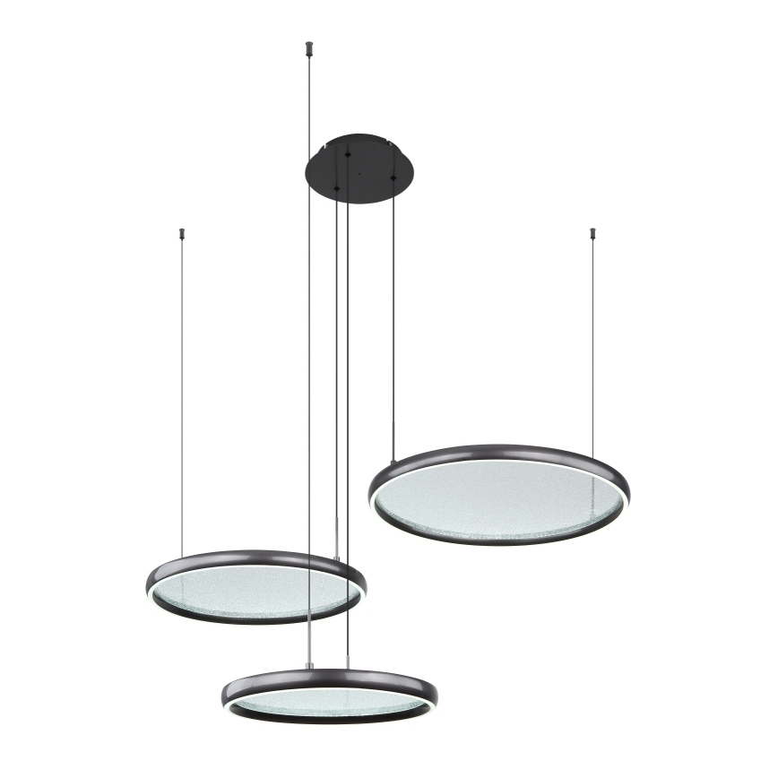 Globo - Led Dimmable κρεμαστό φωτιστικό οροφής LED/55W/230V 2700-6000K μαύρο + τηλεχειριστήριο
