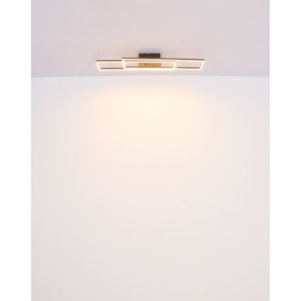 Globo - Φωτιστικό οροφής LED LED/30W/230V 3000K 60x80 cm μαύρο