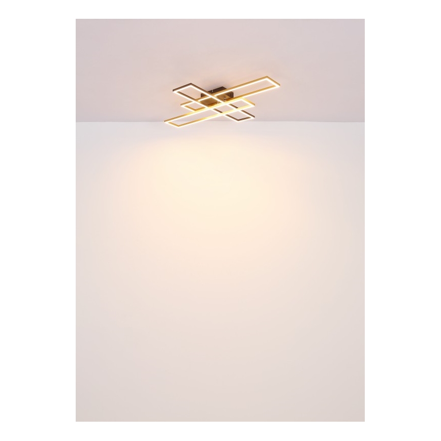 Globo - Φωτιστικό οροφής LED LED/40W/230V 3000K 60x80 cm μαύρο/χρυσό