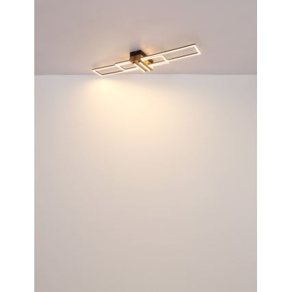 Globo - Φωτιστικό οροφής LED LED/40W/230V 3000K 25x100 cm μαύρο