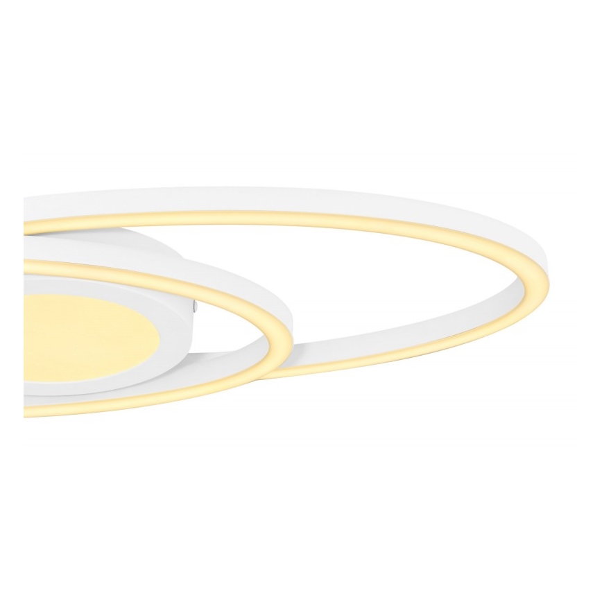 Globo - LED Φωτιστικό οροφής LED/24W/230V