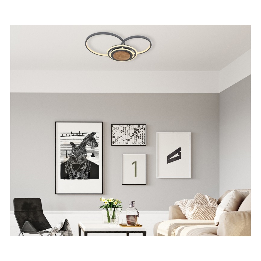 Globo - LED Φωτιστικό οροφής LED/40W/230V