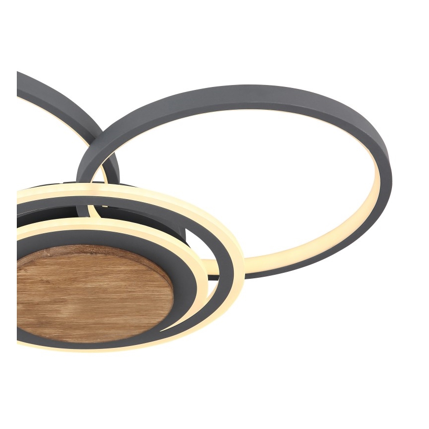 Globo - LED Φωτιστικό οροφής LED/40W/230V